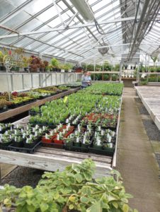 2024 Annual Plant Sale