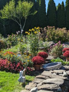 Garden arrangement