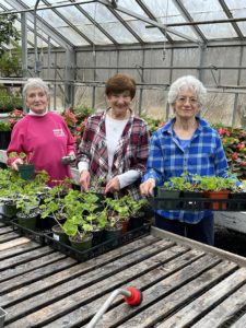 2024 Annual Plant Sale