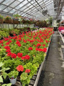 2024 Annual Plant Sale